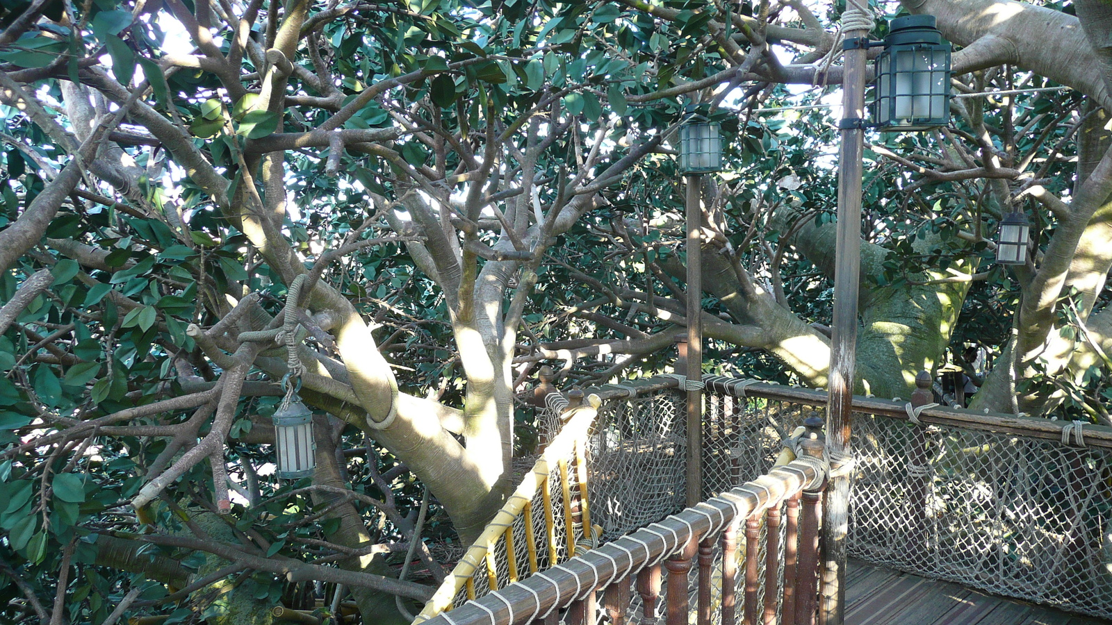 Photo France Disneyland Paris La Cabane des Robinson 2007-07 23