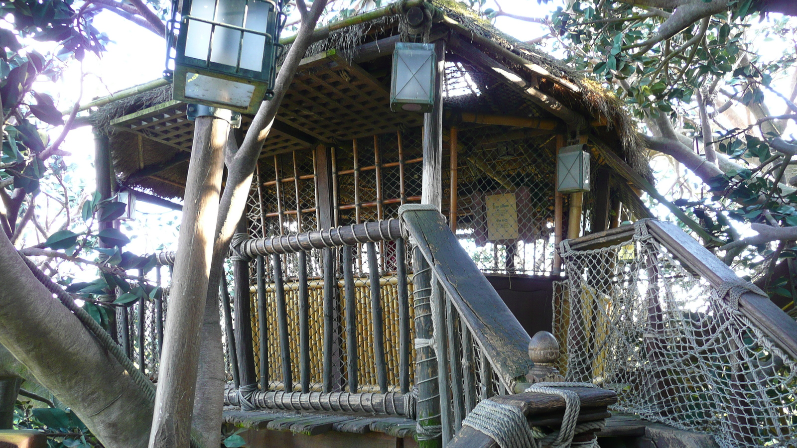 Photo France Disneyland Paris La Cabane des Robinson 2007-07 20