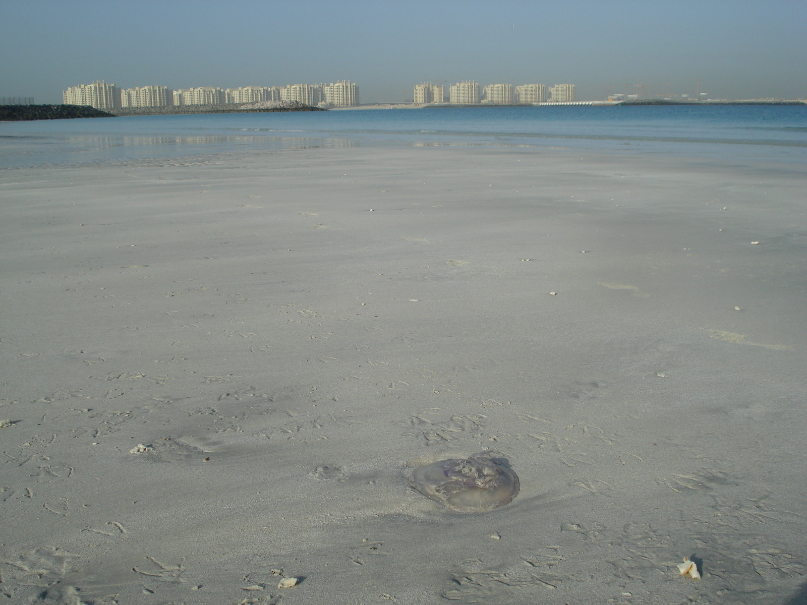 Photo Émirats arabes unis Dubai Plage de Jumeira 2007-03 16