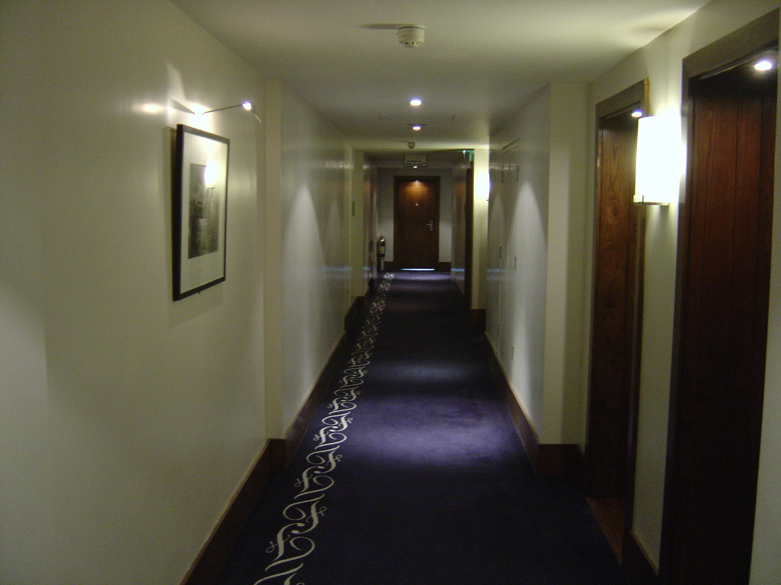 Photo Irlande Dublin Hotel Fitzwilliam 2004-05 8