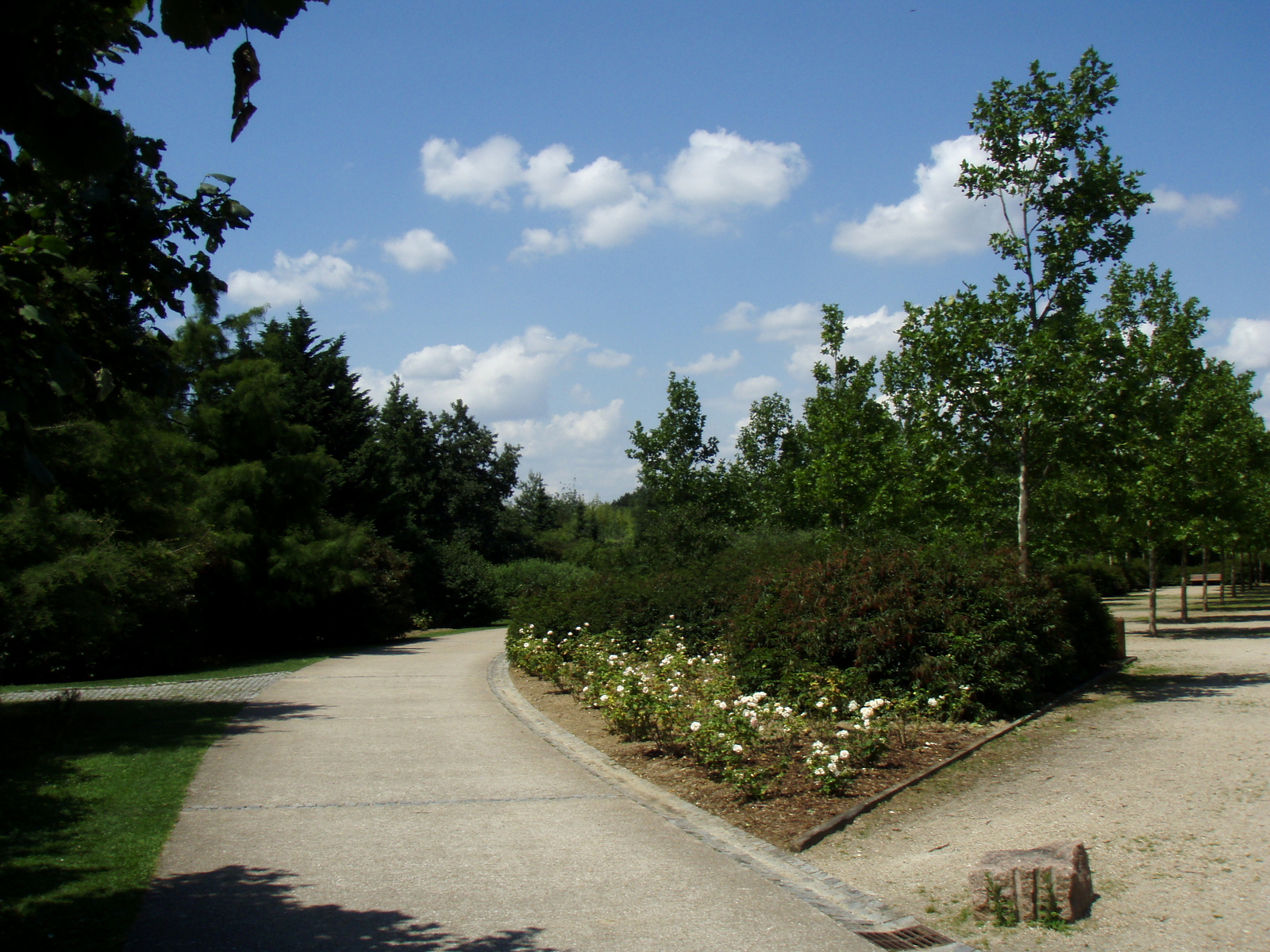 Photo France Villeneuve La Garenne Parc des Chanteraines 2007-07 65