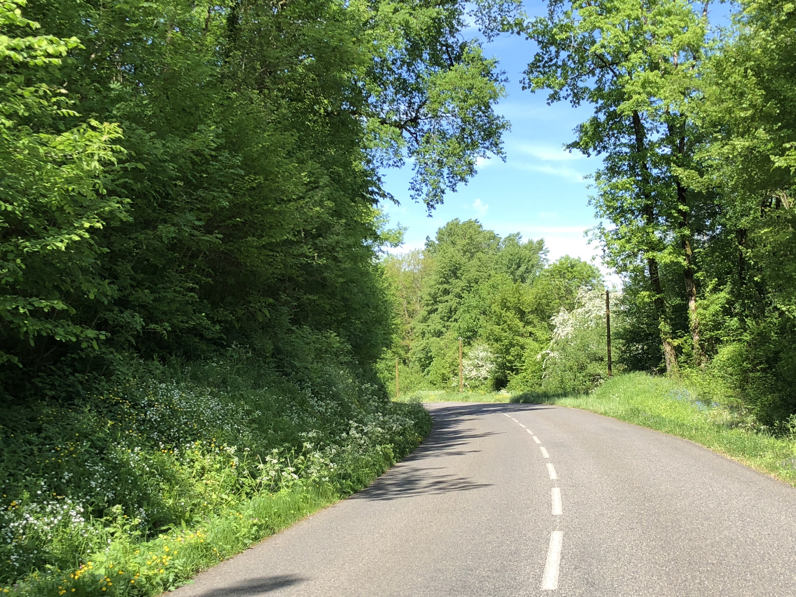 Photo France Floirac 2018-04 84