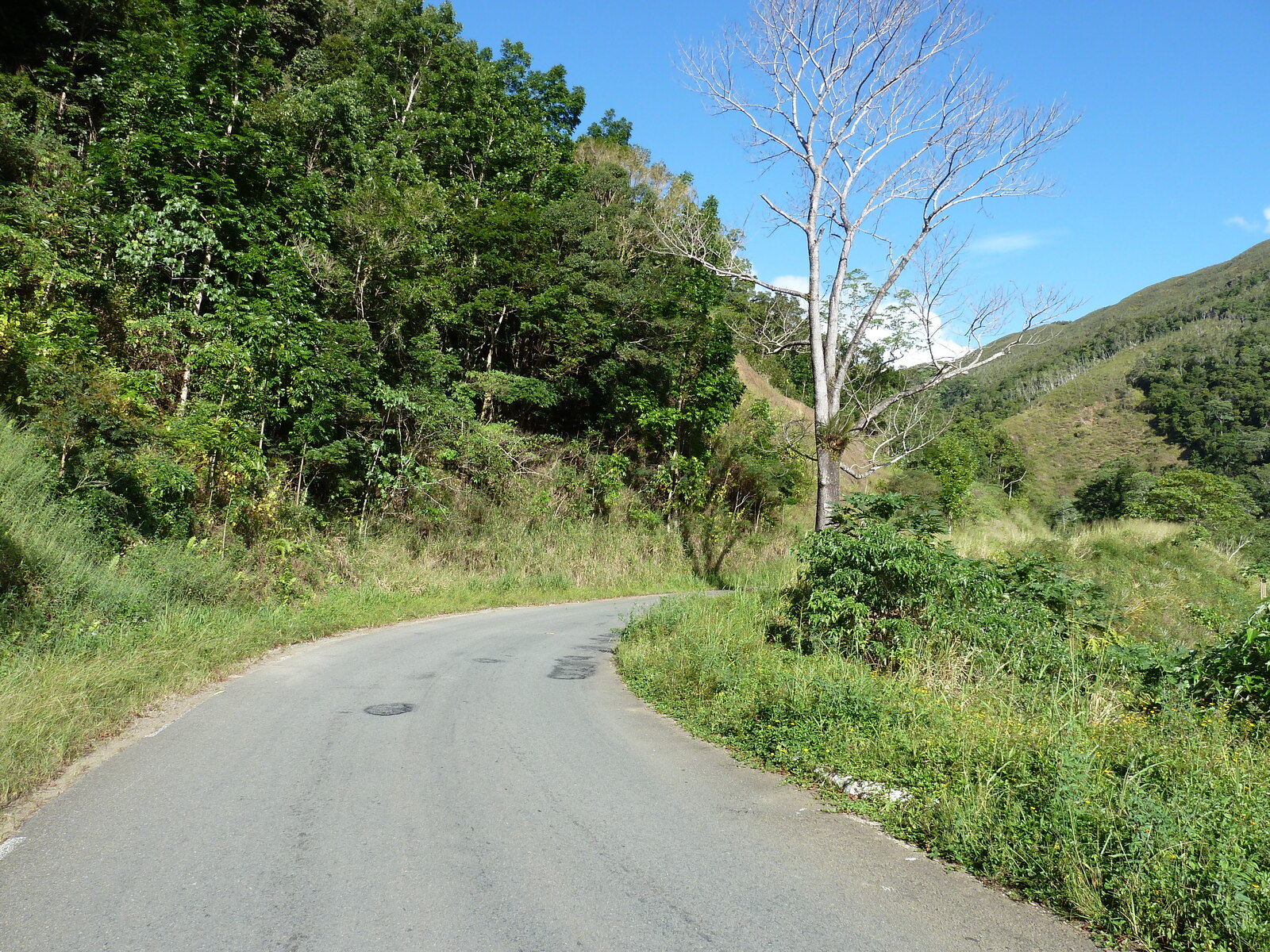 Photo Nouvelle-Calédonie route de Canala à La Foa 2010-05 23