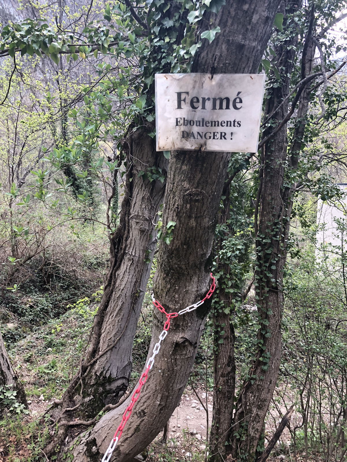 Photo France Abbaye Saint Martin du Canigou 2018-04 173