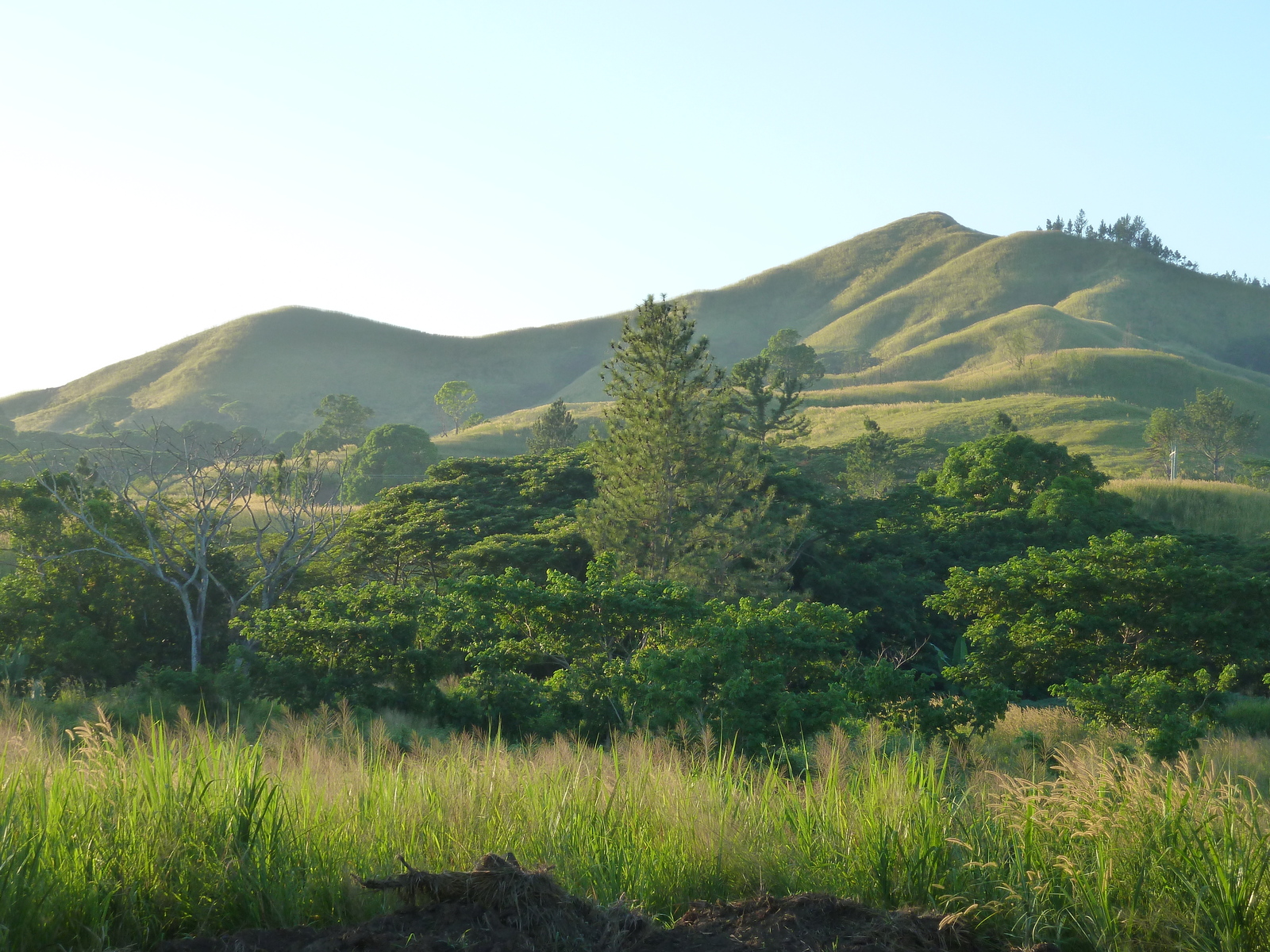 Photo Îles Fidji Nadi à Sigatoka 2010-05 2