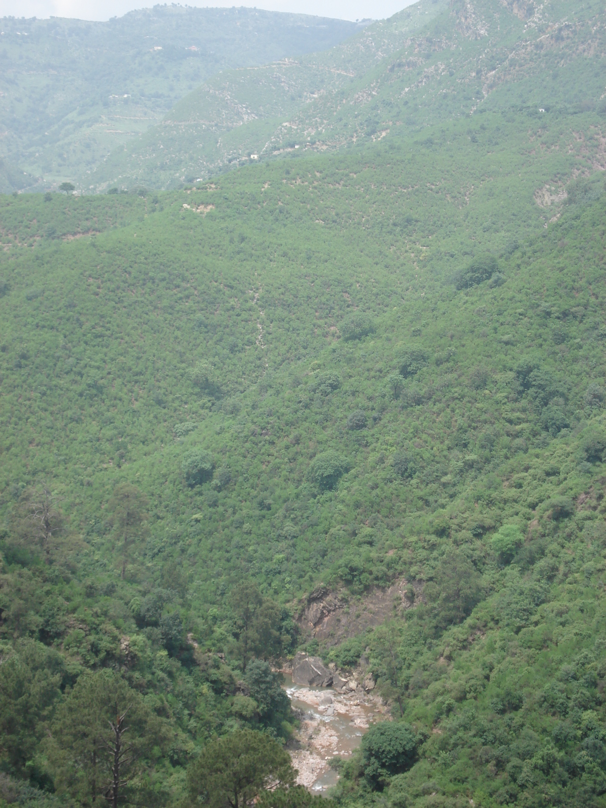 Photo Pakistan Route de Islamabad à Murree 2006-08 38