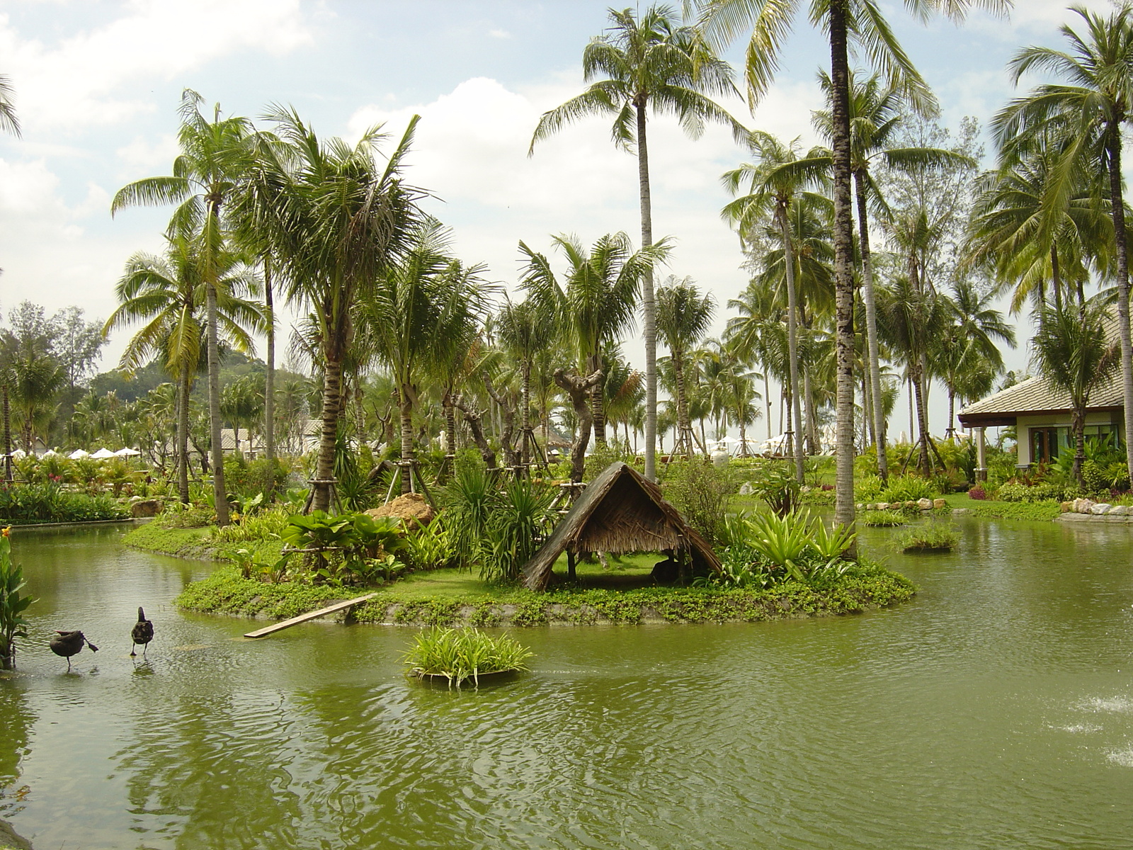 Photo Thaïlande Khao Lak Meridien Khao Lak Hotel 2005-12 15