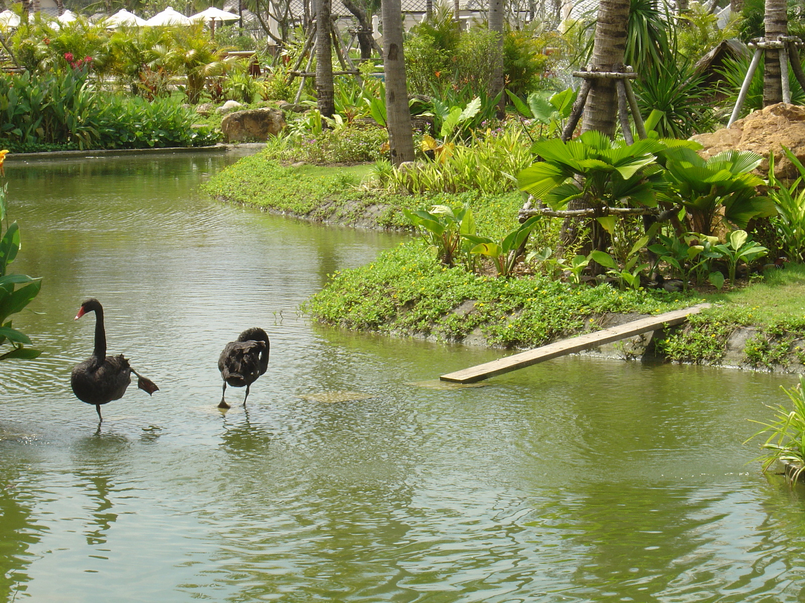 Photo Thaïlande Khao Lak Meridien Khao Lak Hotel 2005-12 6