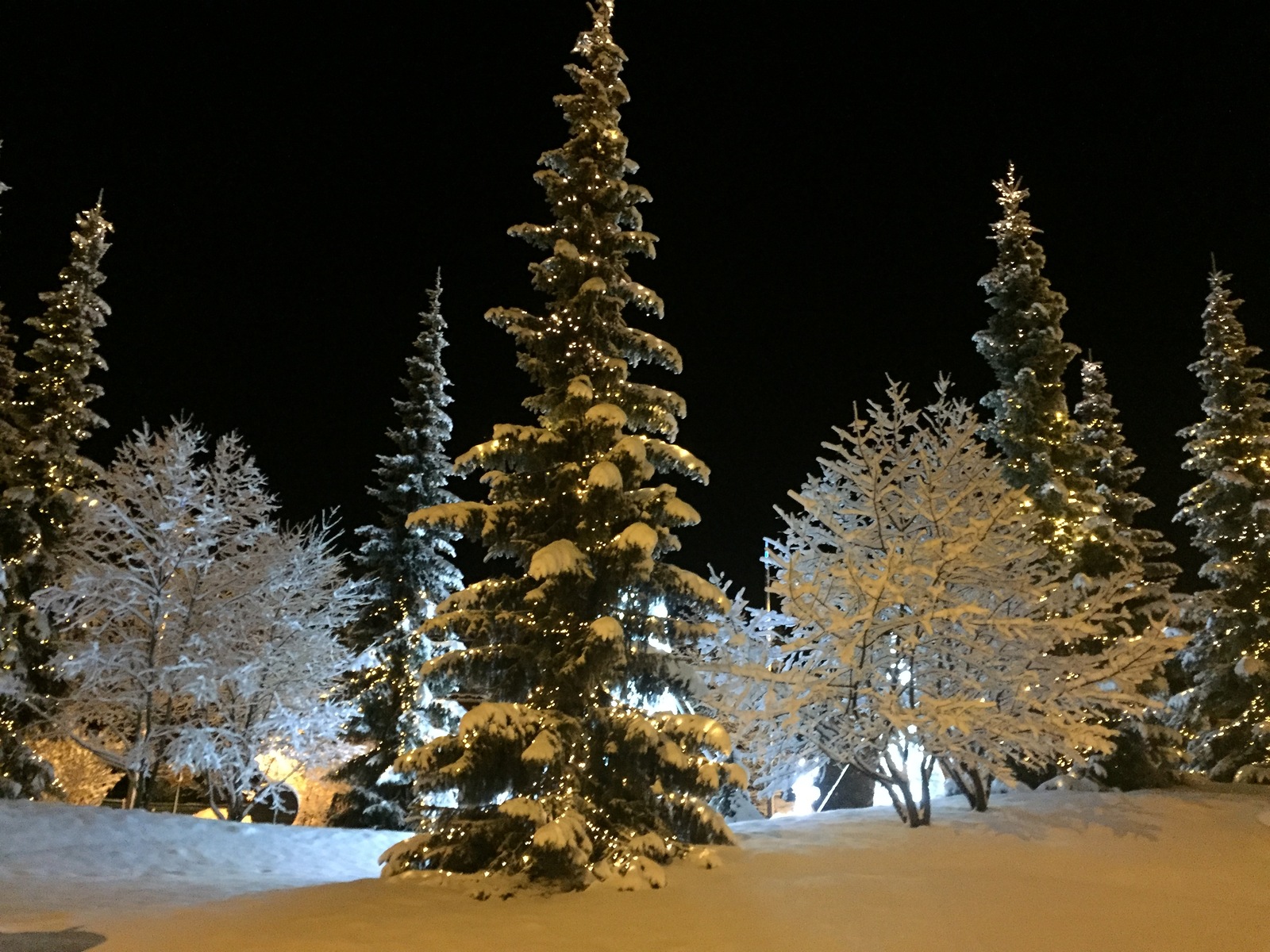 Photo France Megève 2016-02 71