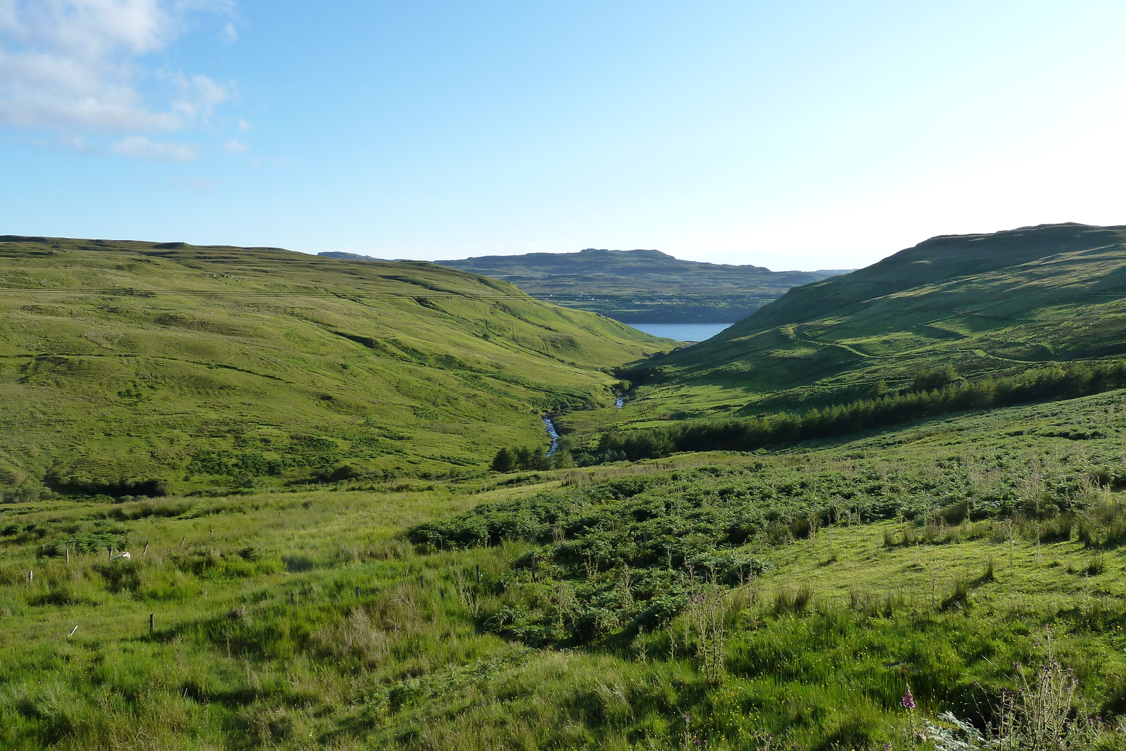 Photo Royaume-Uni Skye 2011-07 87