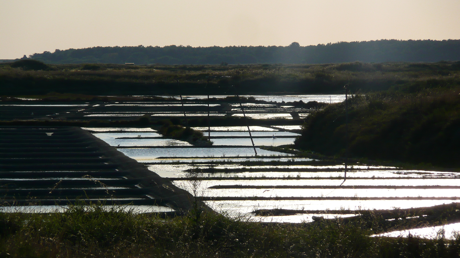 Photo France Guérande Les marais salants 2007-08 1