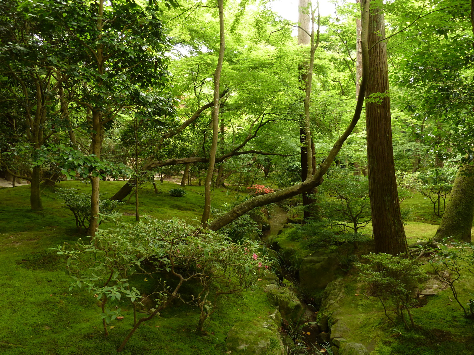 Photo Japon 2010-06 82