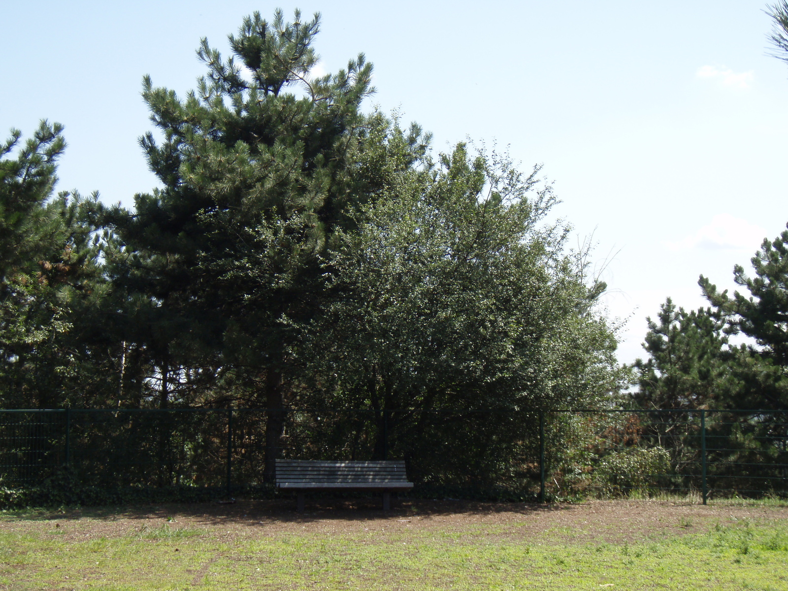 Photo France Villeneuve La Garenne Parc des Chanteraines 2007-07 47