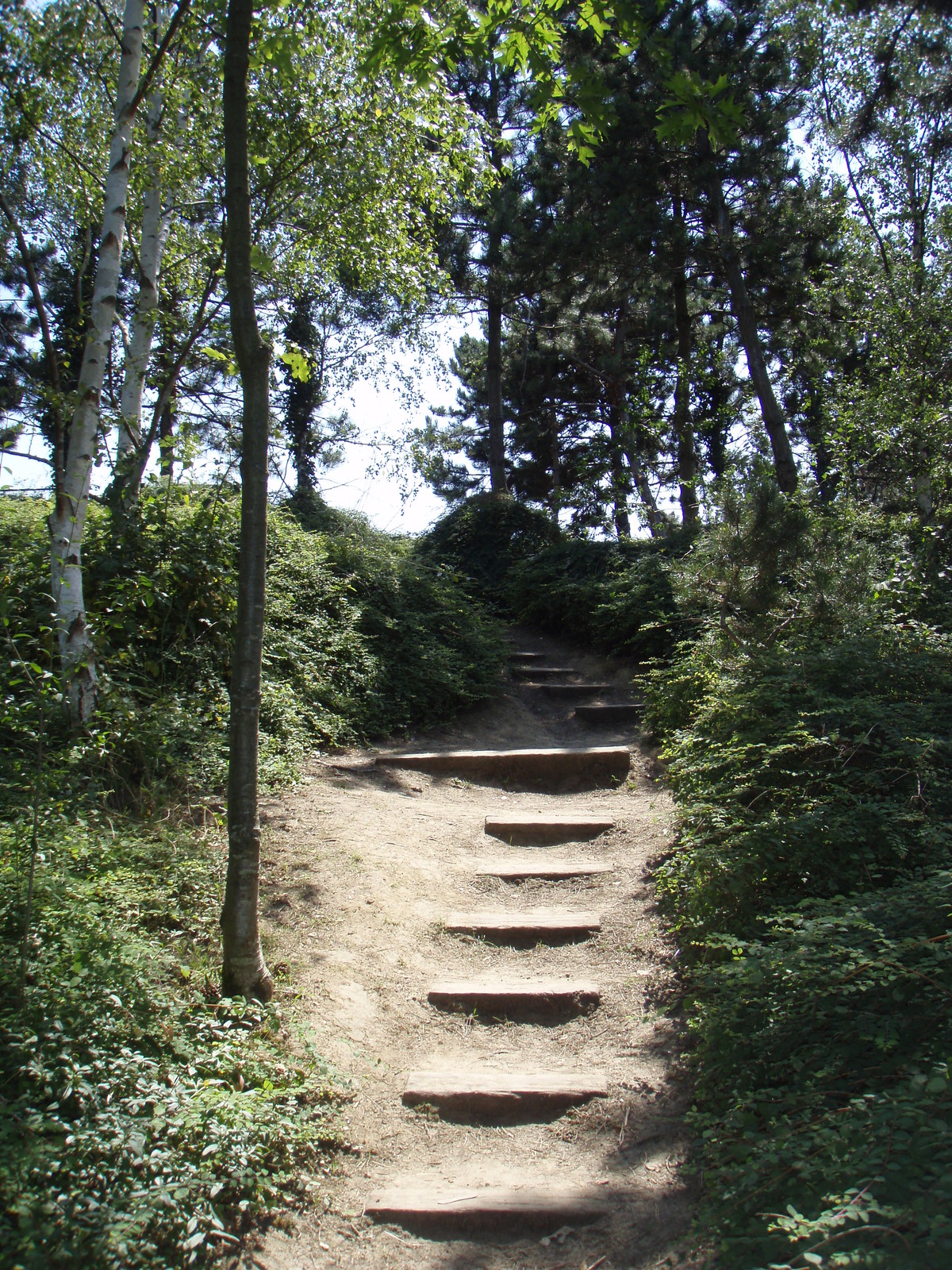 Photo France Villeneuve La Garenne Parc des Chanteraines 2007-07 49