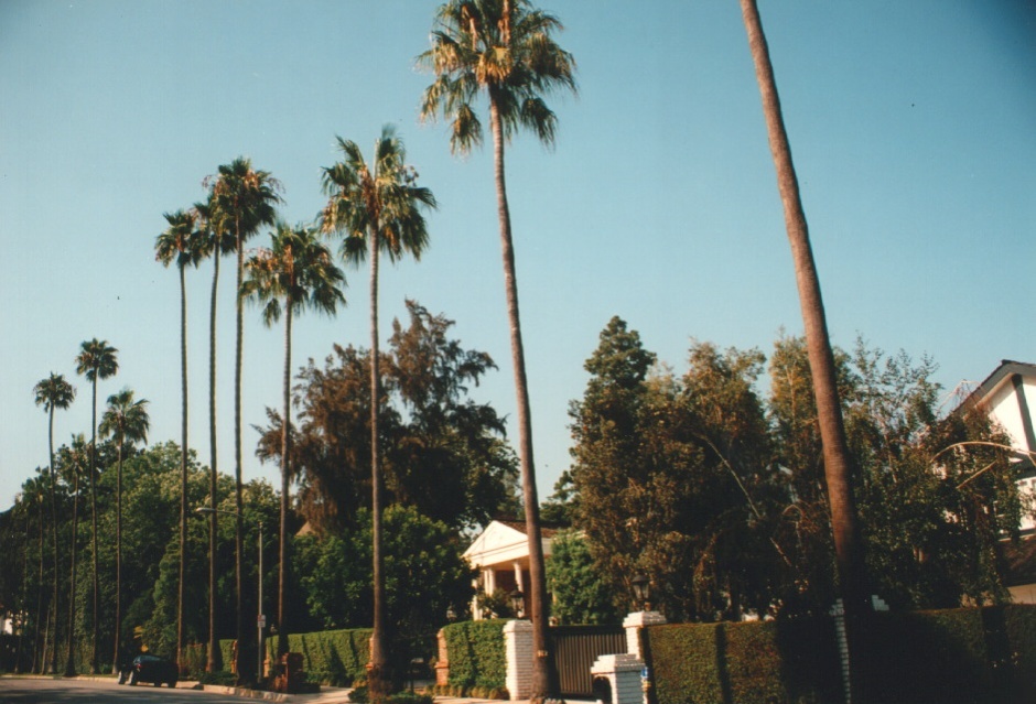 Photo États-Unis Beverly Hills 1992-08 10
