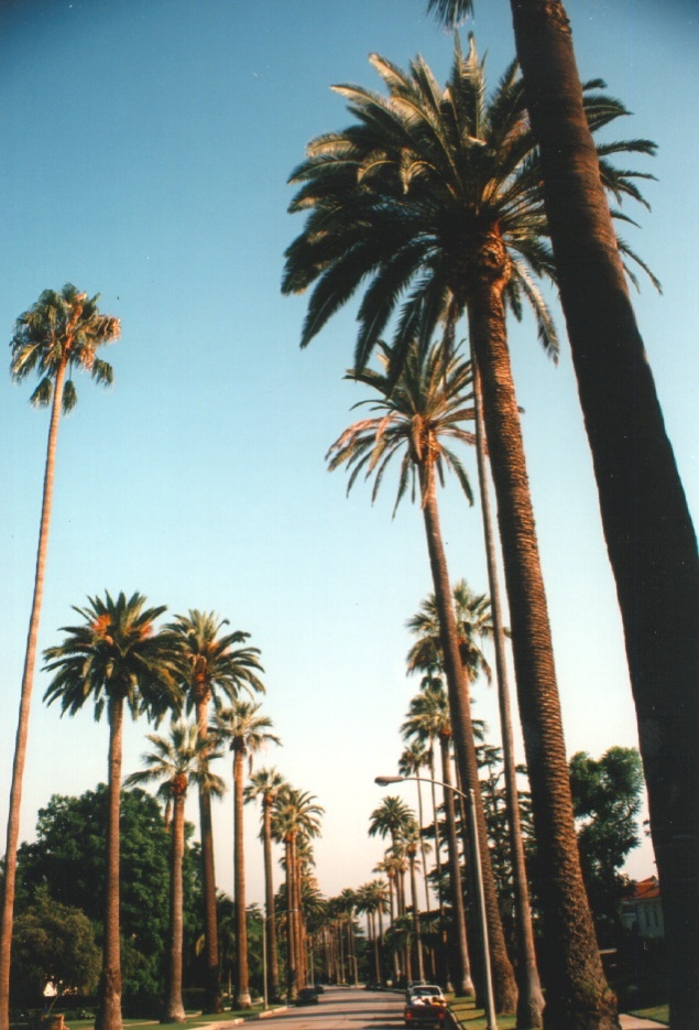 Photo États-Unis Beverly Hills 1992-08 16
