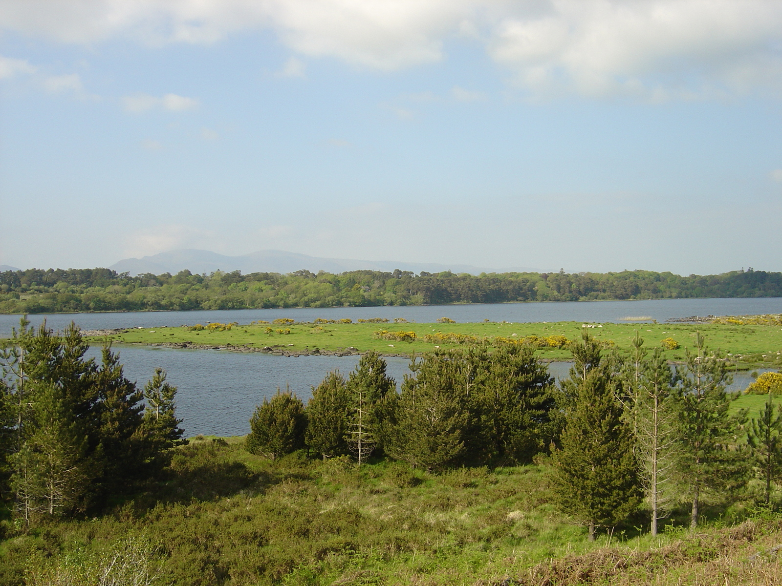 Photo Irlande Kerry Lac Caragh 2004-05 40
