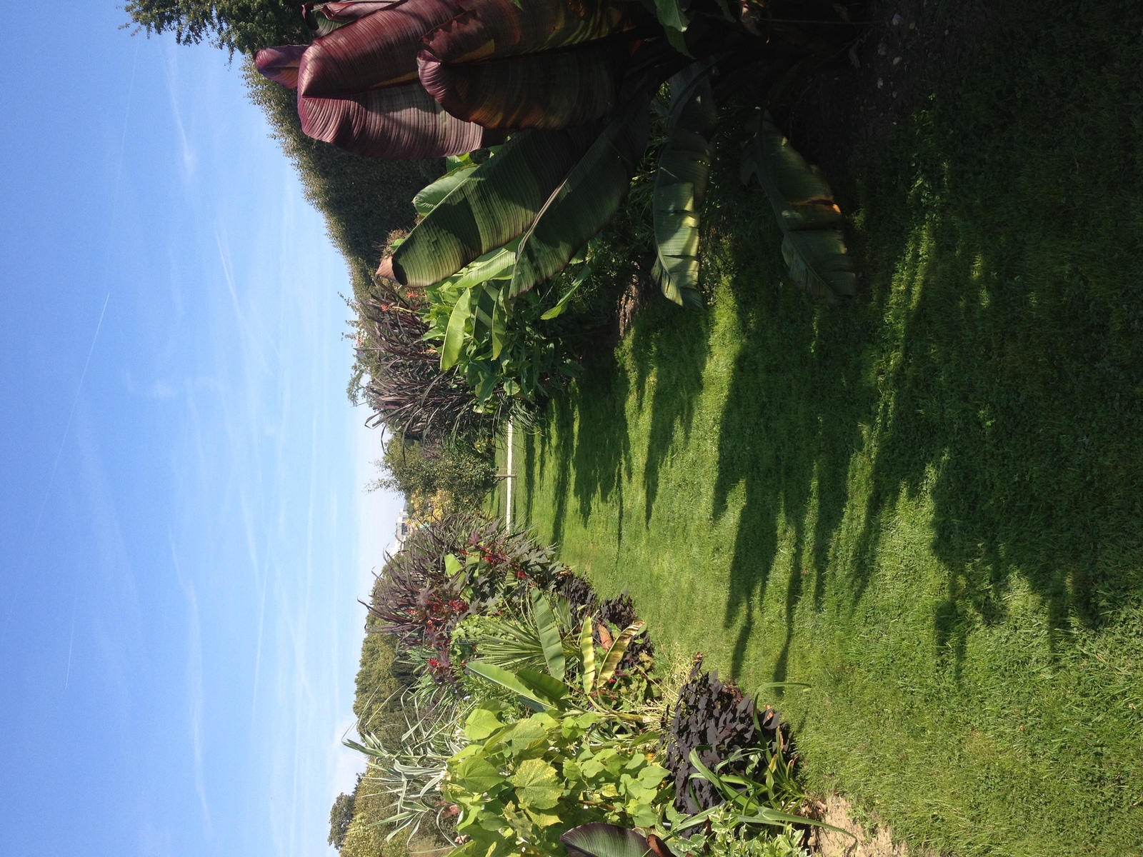 Photo France Paris Jardin des Plantes 2014-09 5