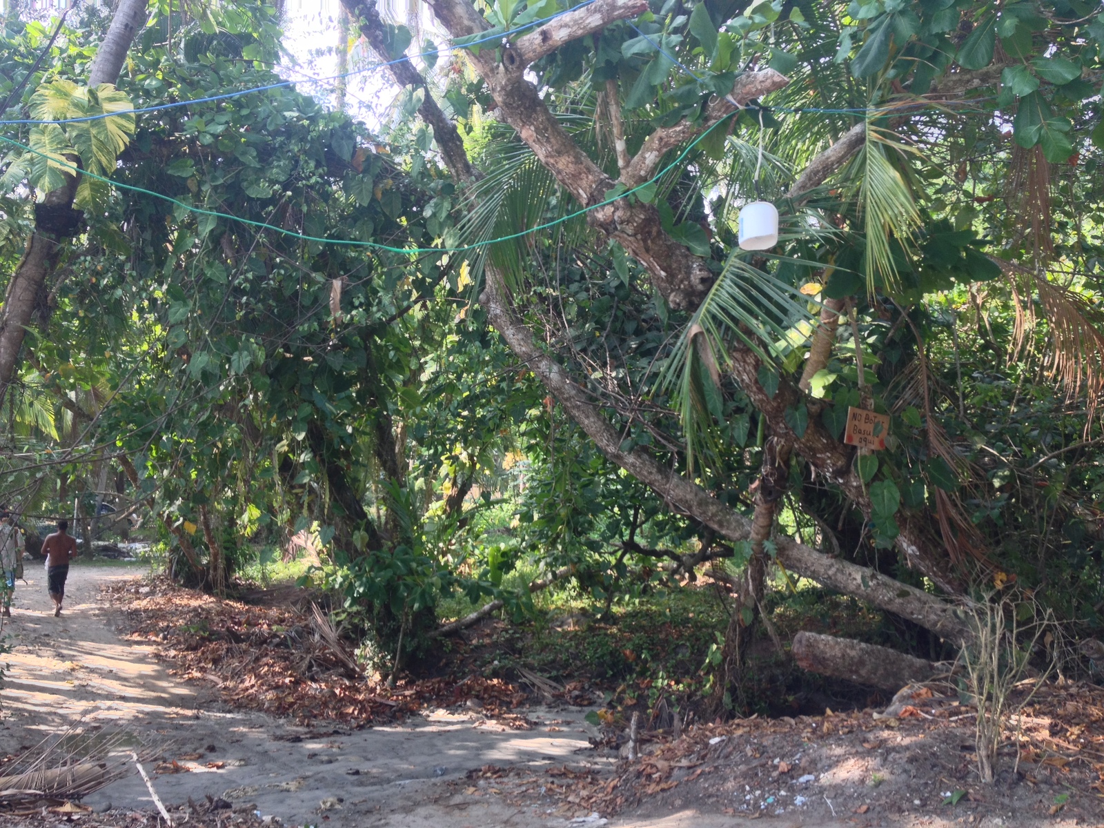Photo Costa Rica Parc Manuel Antonio 2015-03 358