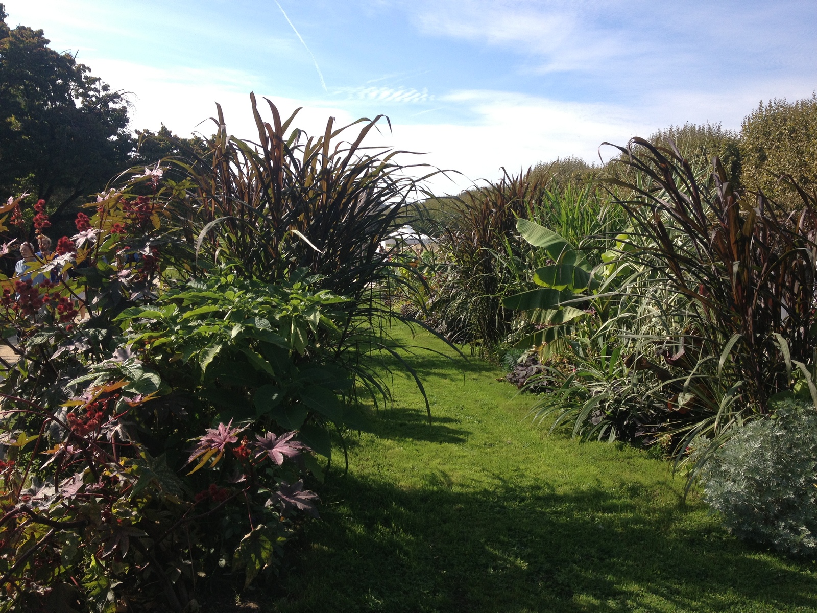 Photo France Paris Jardin des Plantes 2014-09 23