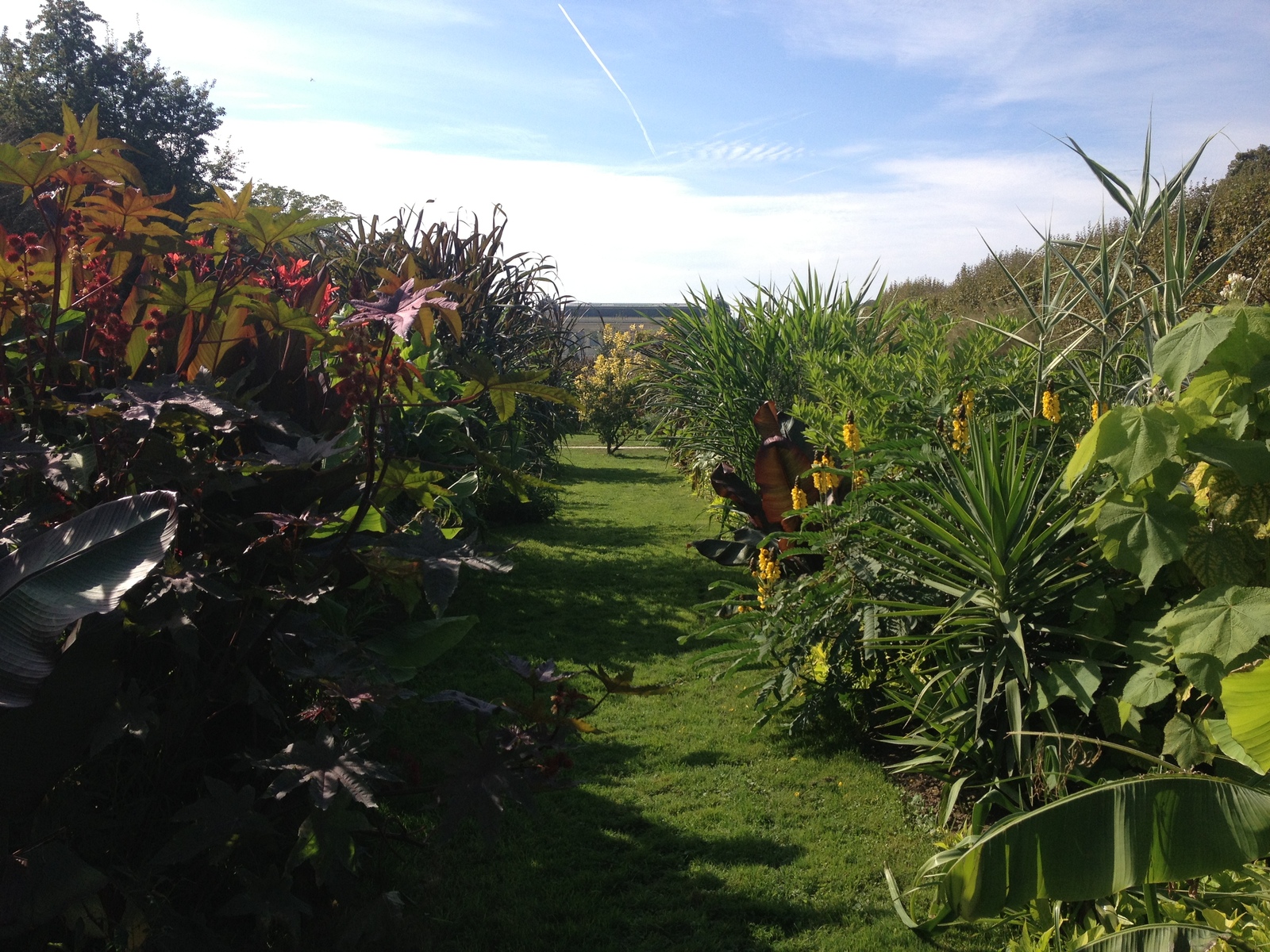 Photo France Paris Jardin des Plantes 2014-09 18