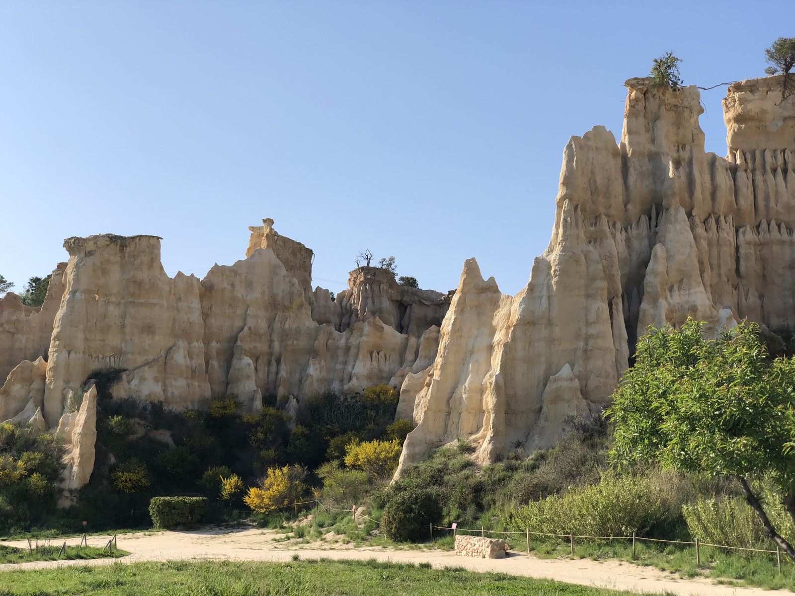 Photo France Orgues d'Ille Sur Tet 2018-04 91