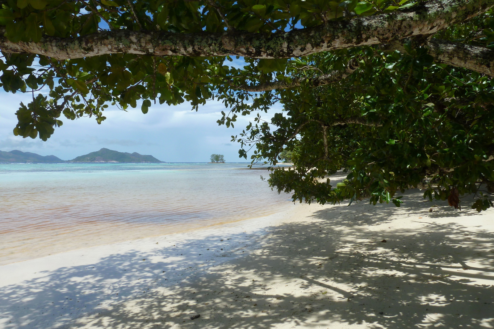 Photo Seychelles La Digue 2011-10 211