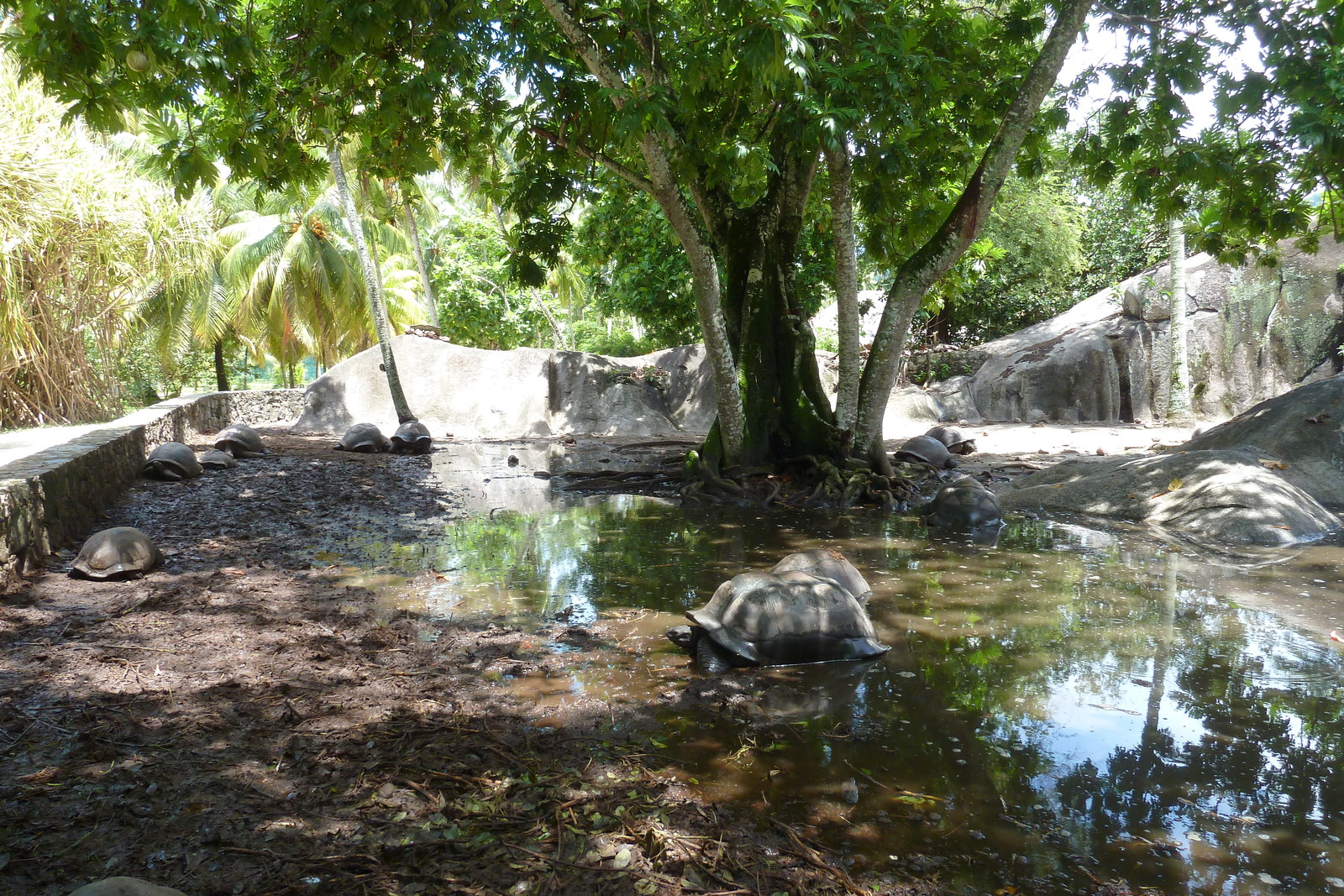 Photo Seychelles La Digue 2011-10 194