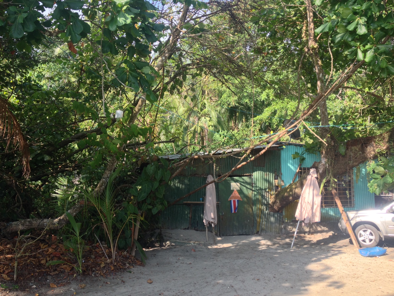 Photo Costa Rica Parc Manuel Antonio 2015-03 171