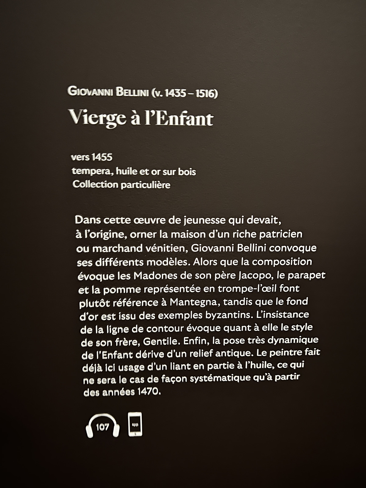 Photo France Paris Musée Jacquemart André 2023-04 53