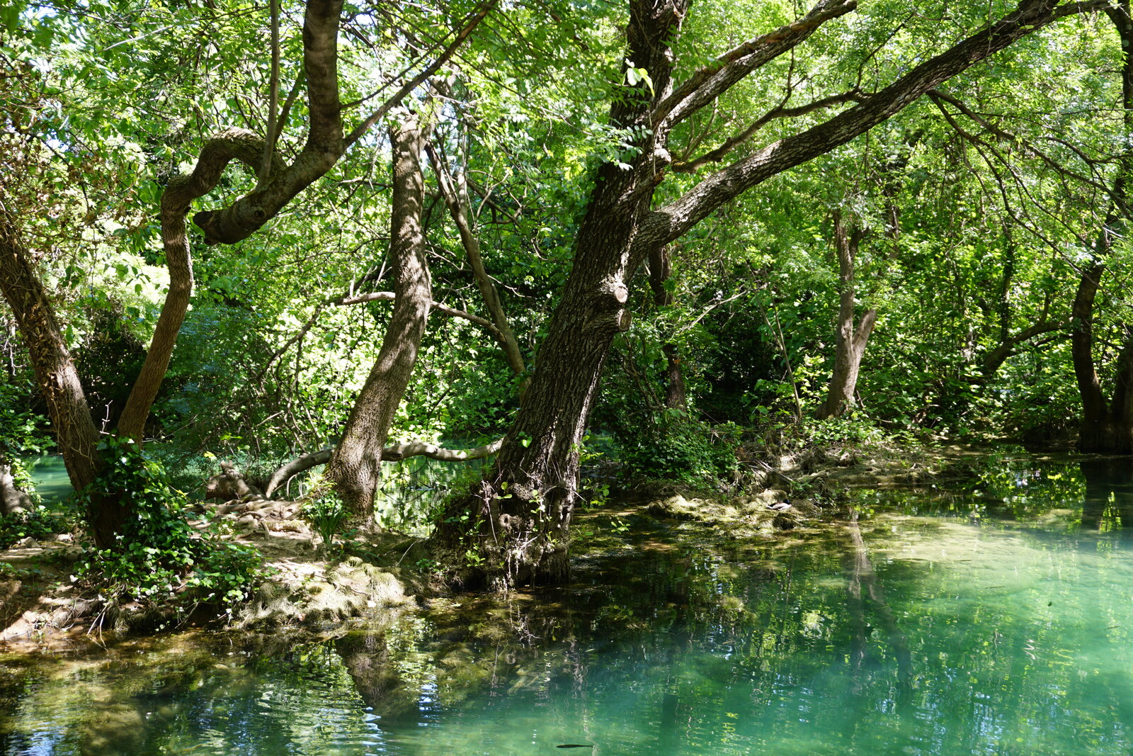 Photo Croatie Parc national KRKA 2016-04 154