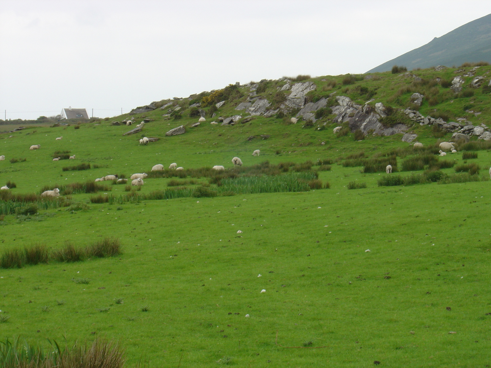 Photo Irlande Kerry Kells 2004-05 5