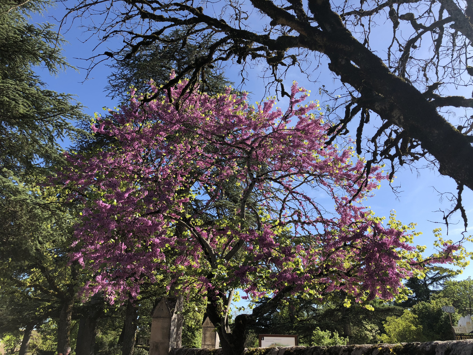 Photo France Rocamadour 2018-04 245