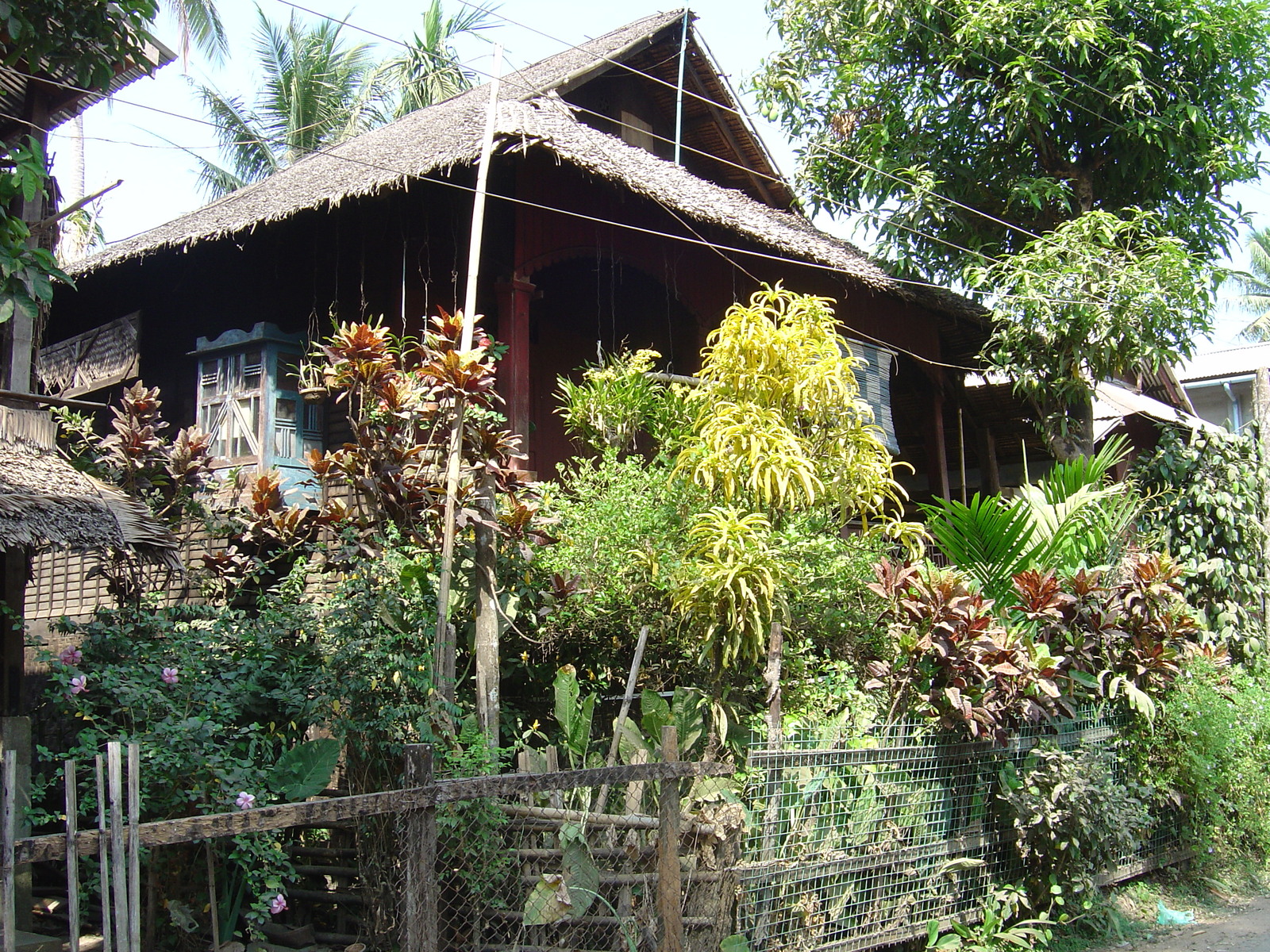 Photo Birmanie (Myanmar) Dawei (TAVOY) 2005-01 126