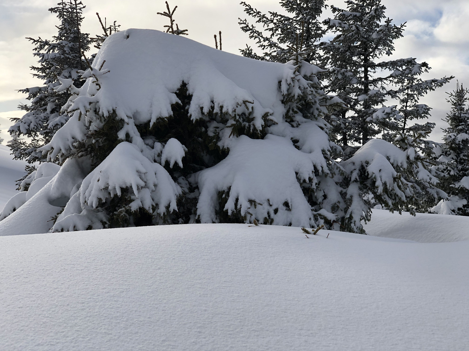 Photo France Praz sur Arly 2019-12 174