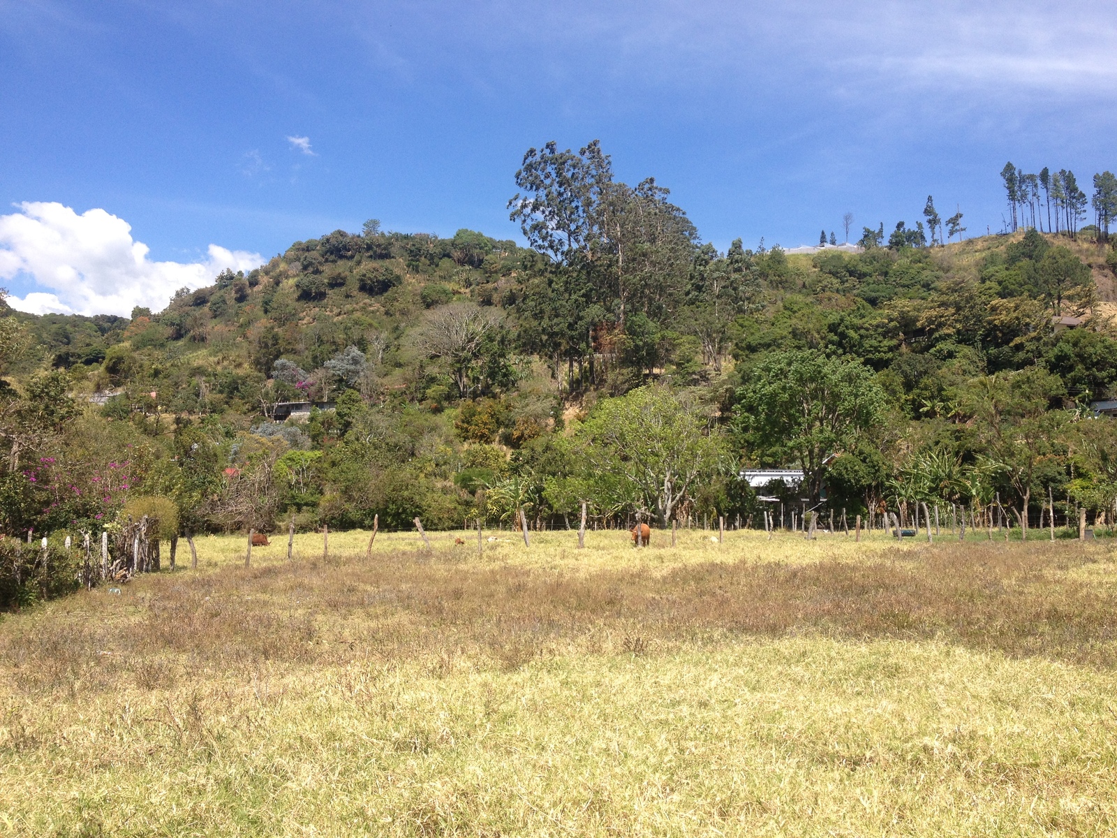 Photo Panama Boquete 2015-03 16