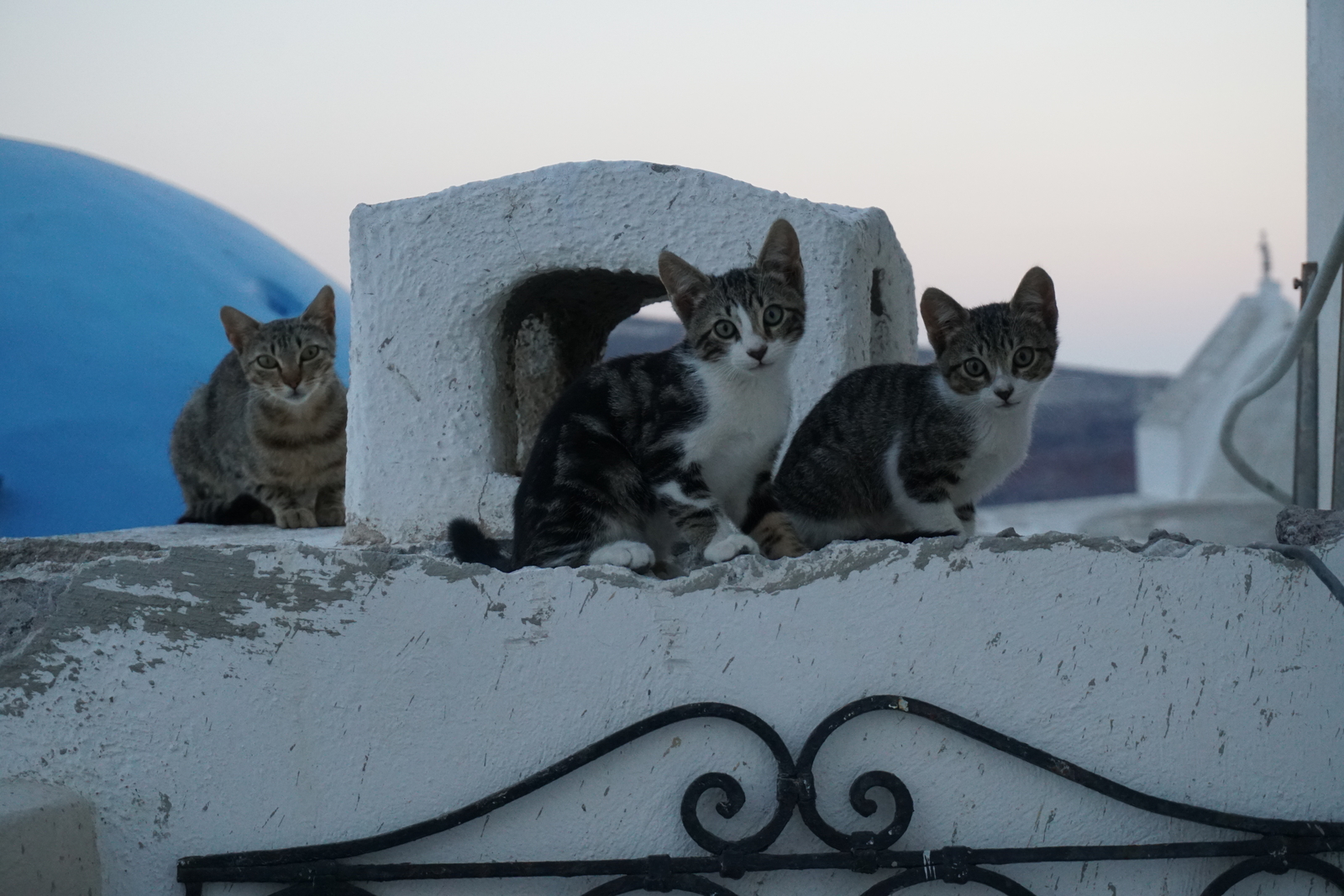 Photo Grèce Santorin 2016-07 77