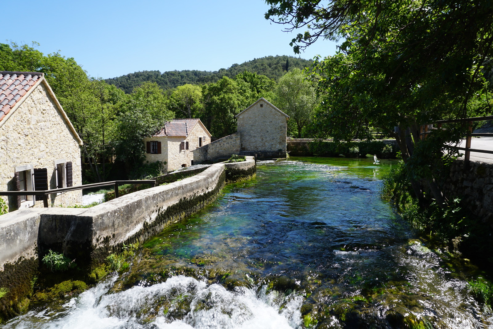 Photo Croatie Parc national KRKA 2016-04 161