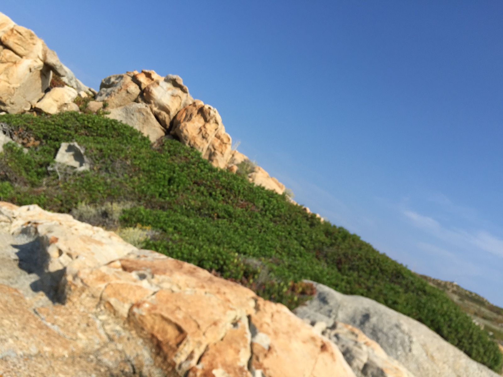 Photo France Corse Punta Spano 2015-05 24