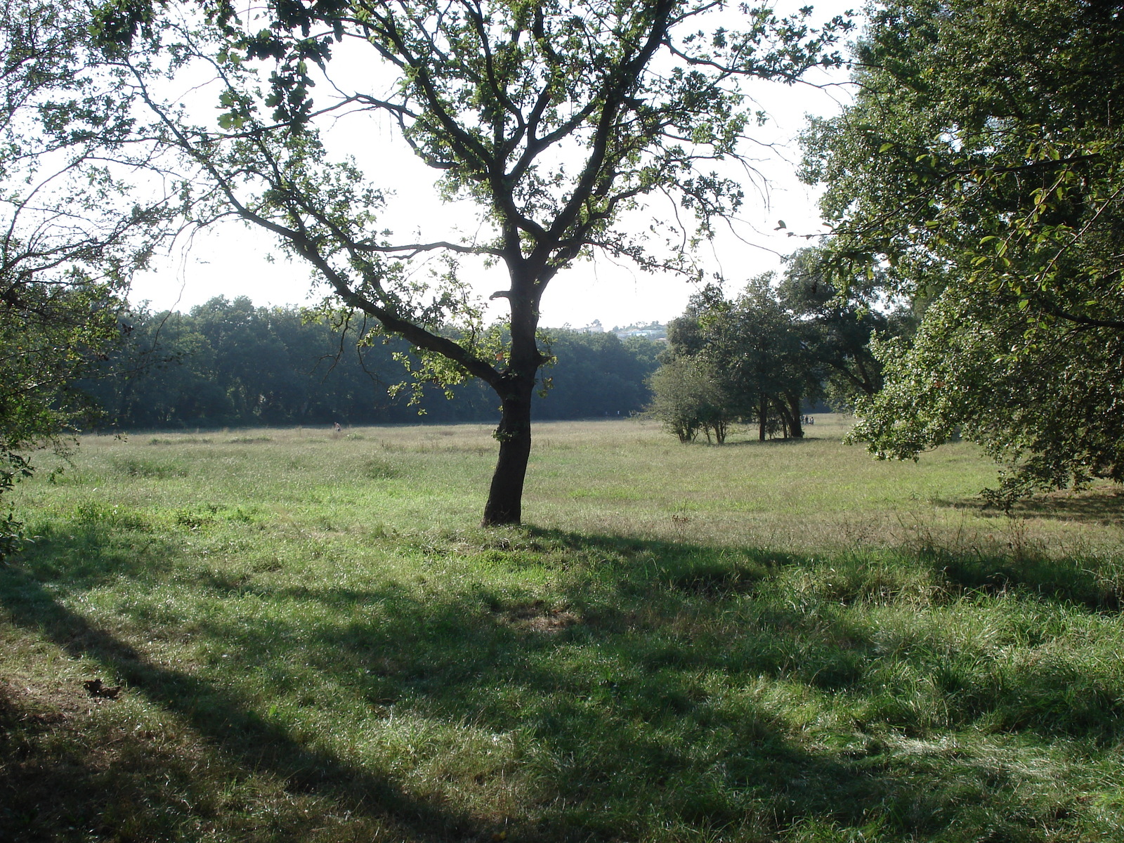 Photo France Villeneuve Loubet Parc de Vaugrenier 2006-09 2