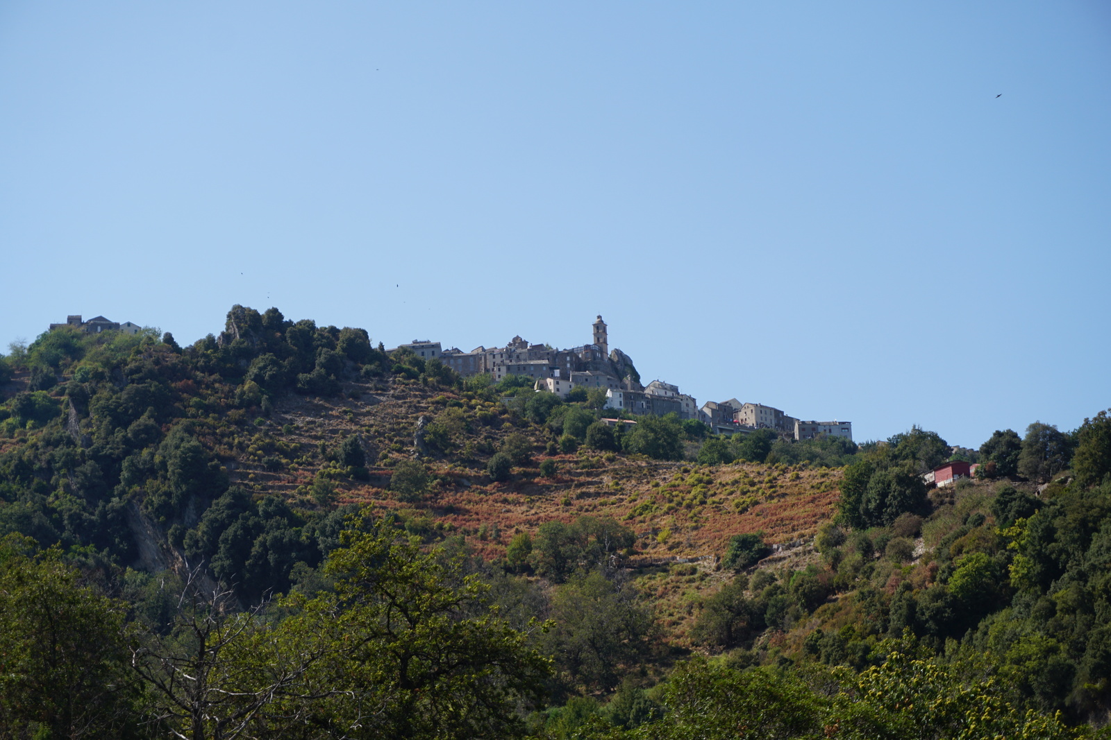 Photo France Corse Loreto-di-Casinca 2017-09 36