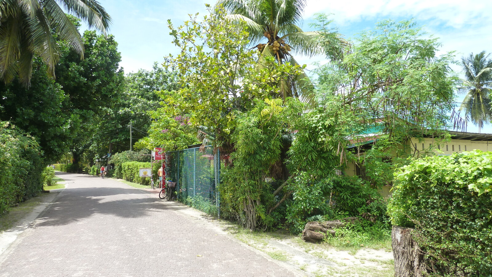 Photo Seychelles La Digue 2011-10 102