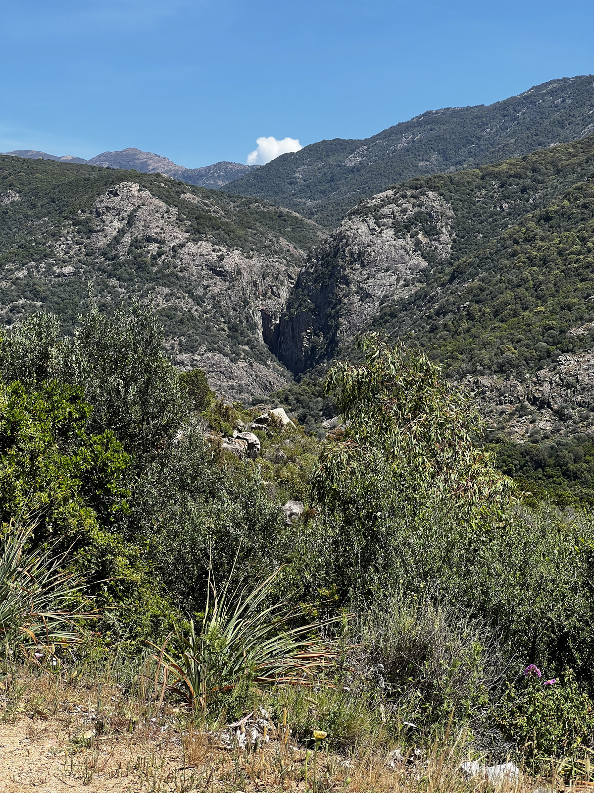 Photo France Corse Capo Rosso 2023-05 18