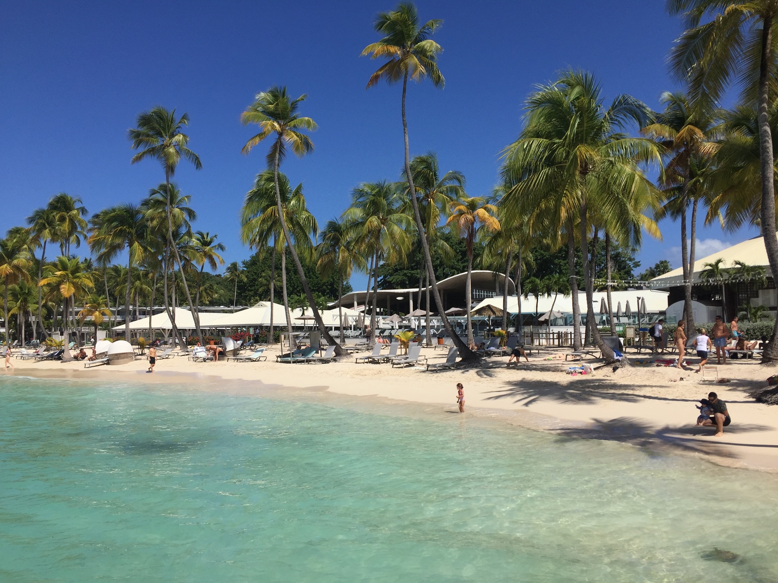 Photo Guadeloupe Plage de la Caravelle 2021-02 40