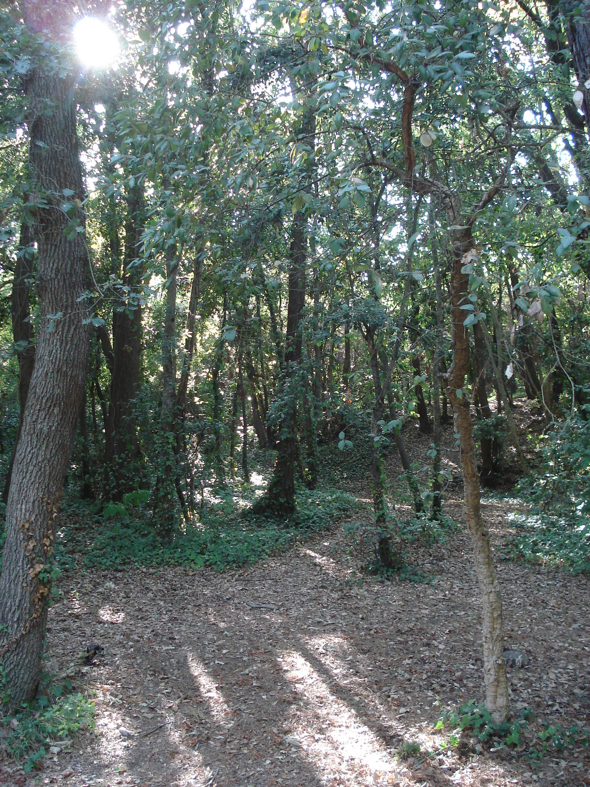 Photo France Villeneuve Loubet Parc de Vaugrenier 2006-09 11
