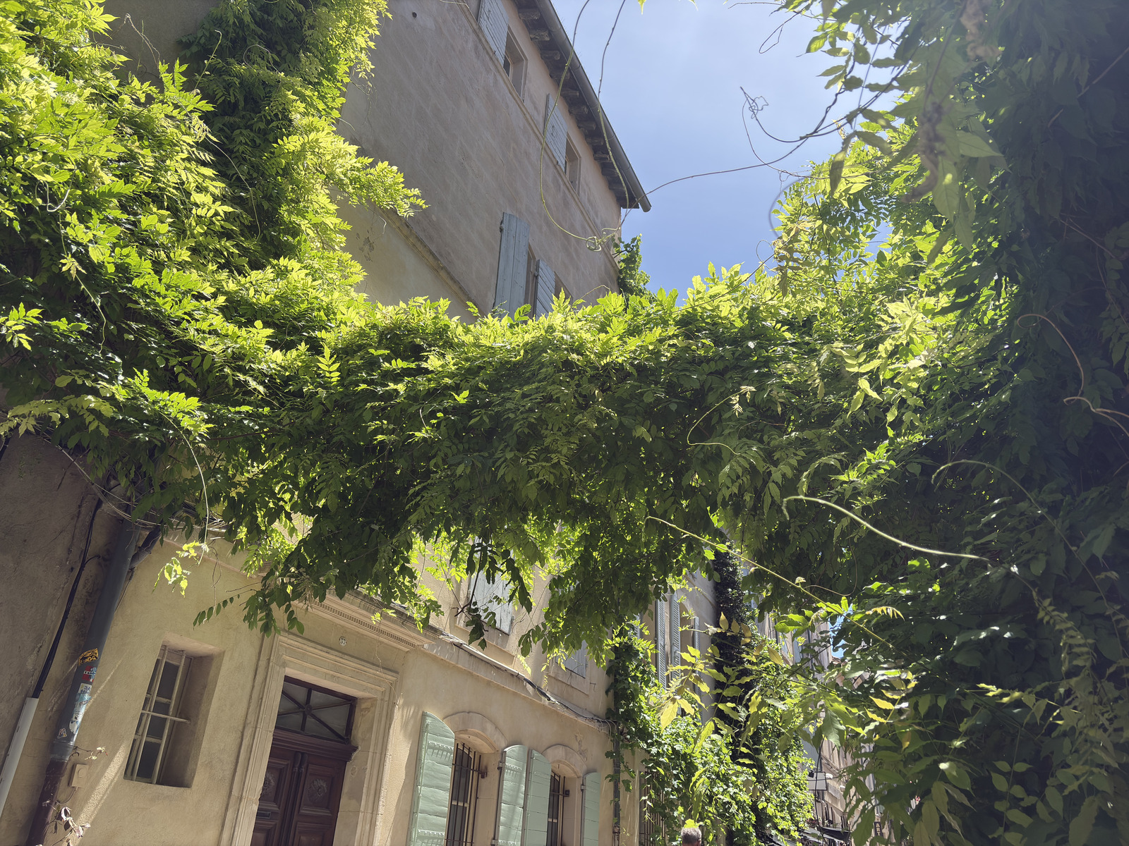 Photo France Arles 2026-06 4