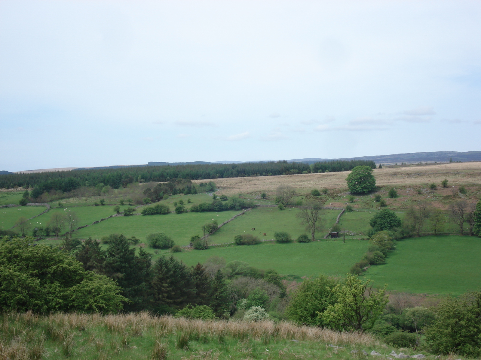 Photo Royaume-Uni Parc national des Brecon Beacons 2006-05 45