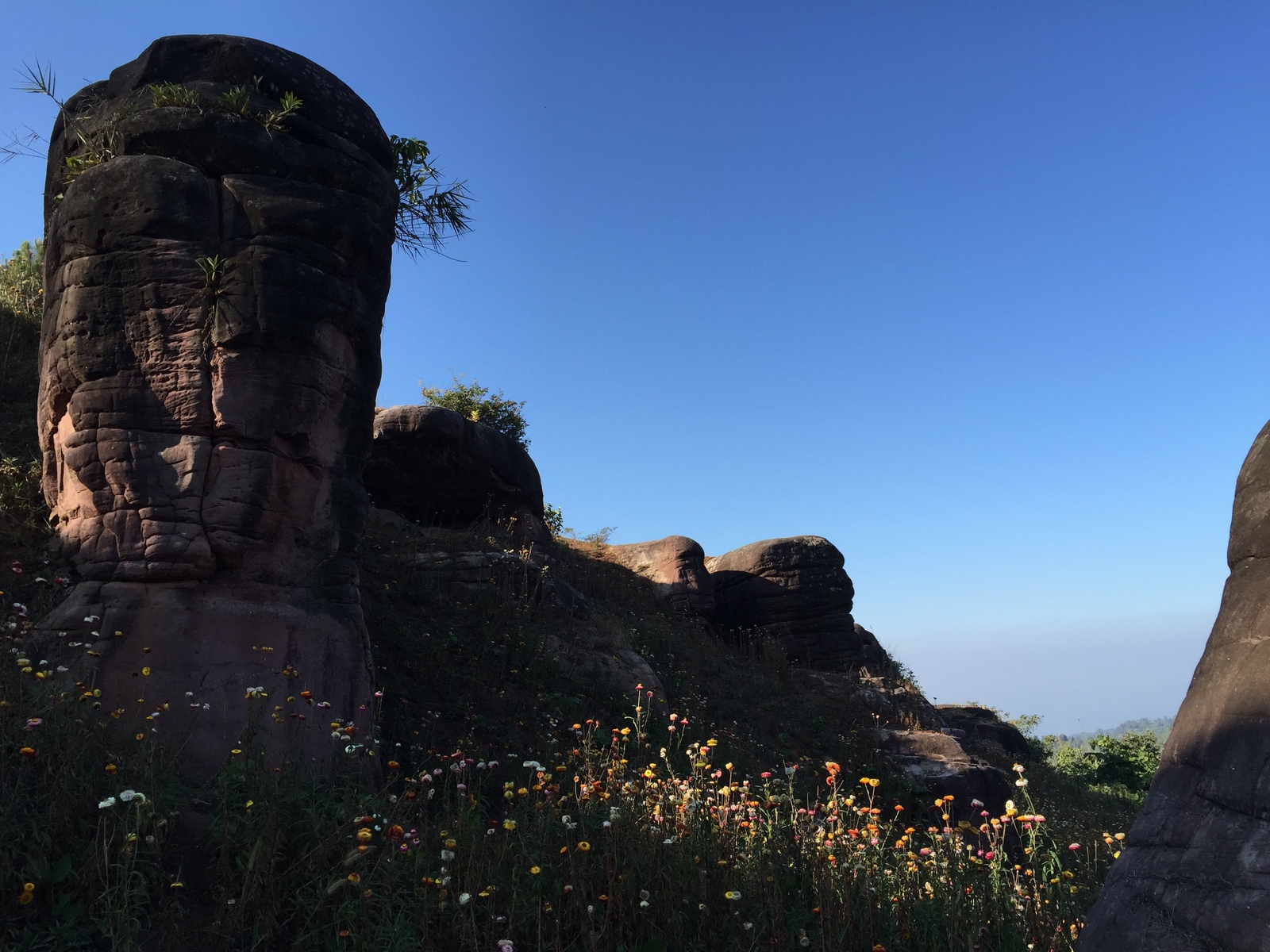 Photo Thaïlande Parc National Phu Hin Rong Kla 2014-12 5
