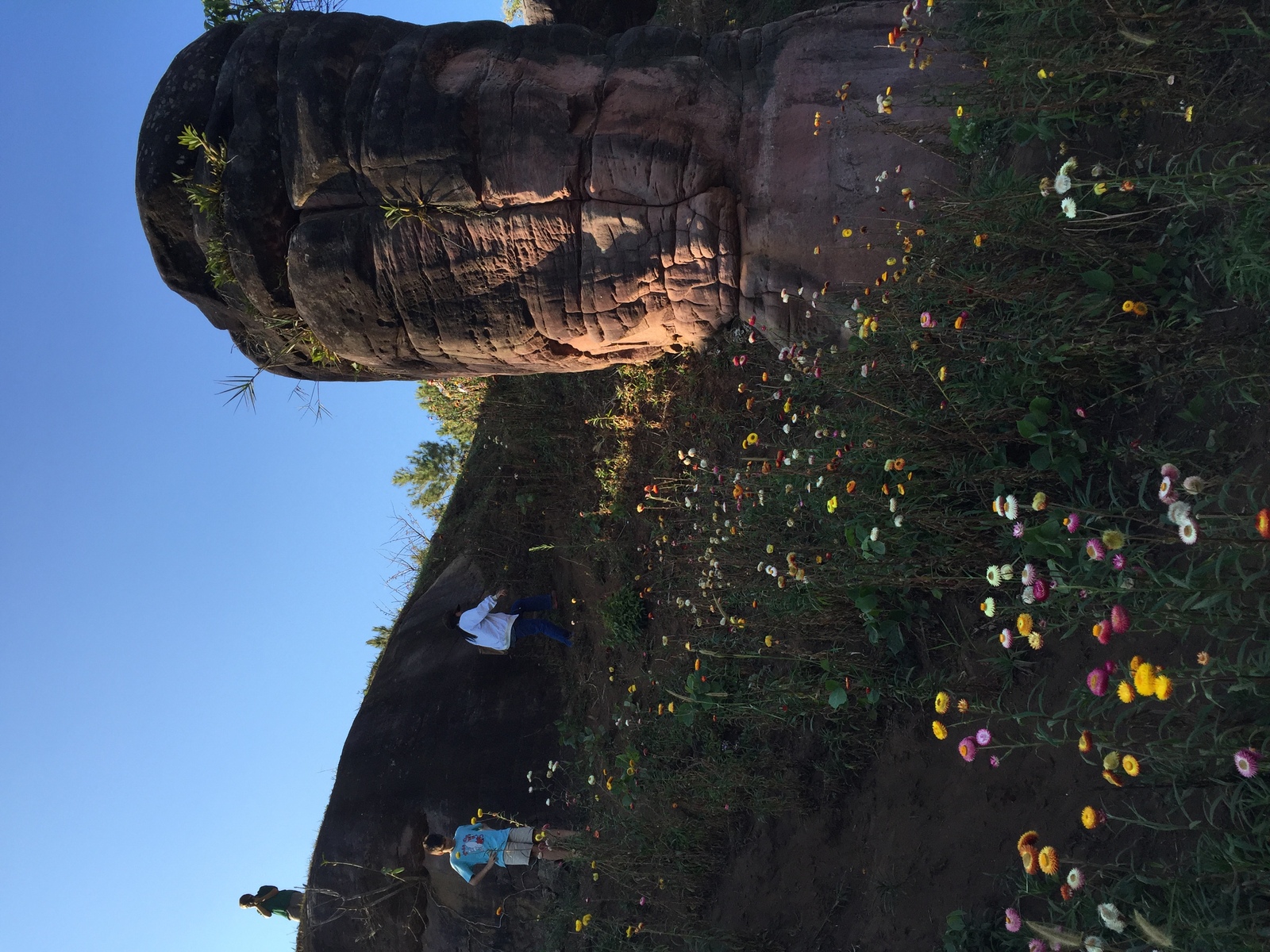 Photo Thaïlande Parc National Phu Hin Rong Kla 2014-12 304