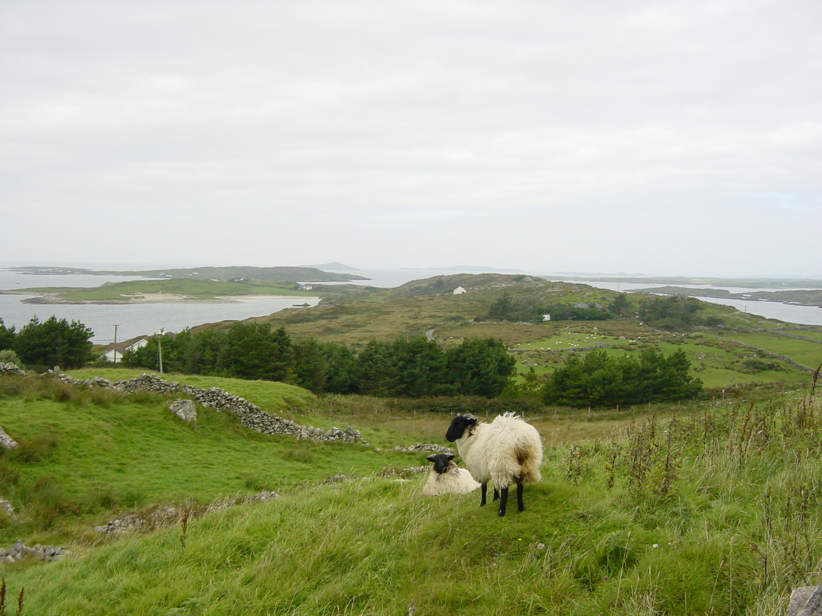Photo Irlande Connemara 2003-09 43